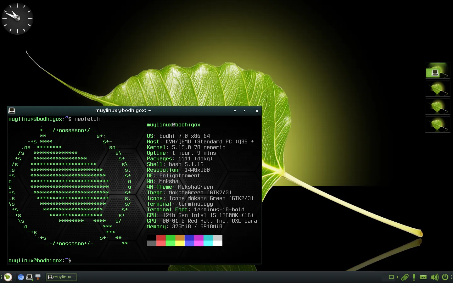 Bodhi Linux 7